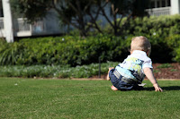Shuffling along the grass