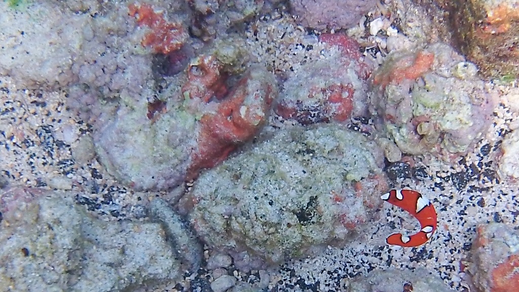 [20121217-100_06464.jpg]