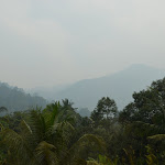 DSC_0098.JPG