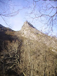 PICT1137.JPG