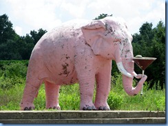 9915a Cross Plains, Tennessee - Pink Elephant with Martini Glass