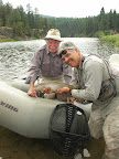 Jack Saunders caught another cuttbow trout. Jack Mauer is holding the fish.