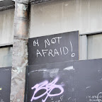 DSC_8309-2.jpg