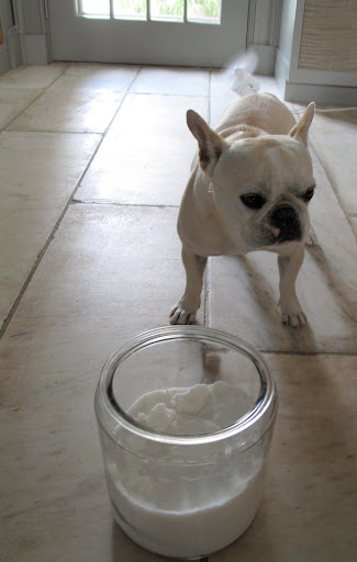 How many cups of sugar do we need, Franny?