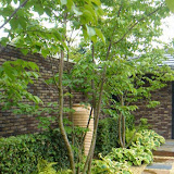 Tuin voor tuinwedstrijde 011.jpg