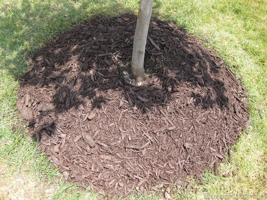 [IMG_8163%255B8%255D.jpg]