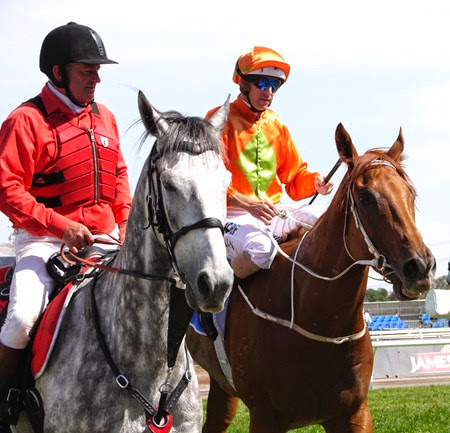 race 6_terravista 6 race 6_terravista 6