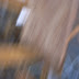 R0029778.JPG