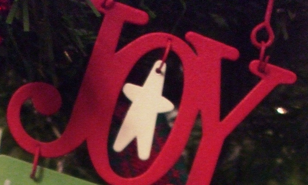 [1%2520Joy%2520Joy%2520Joy%255B4%255D.jpg]