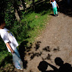 &copy; Alfard Menninga