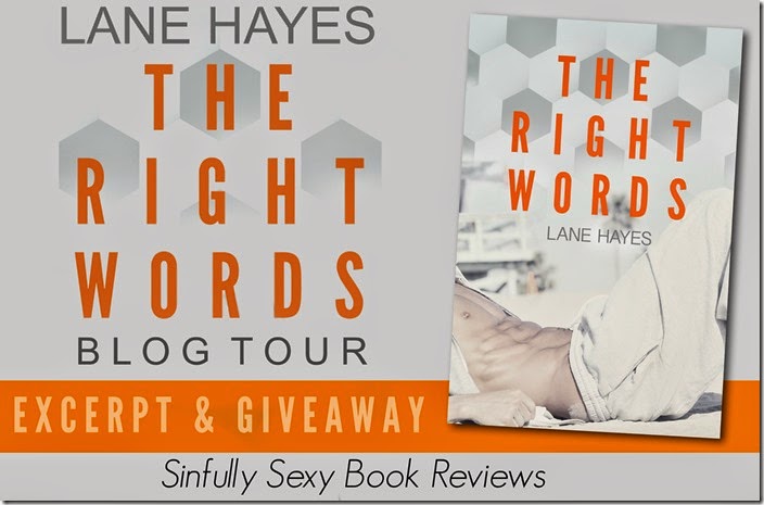 Lane Hayes banner Lane Hayes banner