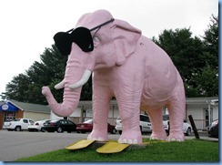 9967 Tennessee, Cookeville - Pink Elephant with giant sunglasses 9967 Tennessee, Cookeville - Pink Elephant with giant sunglasses