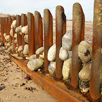 image12.jpg