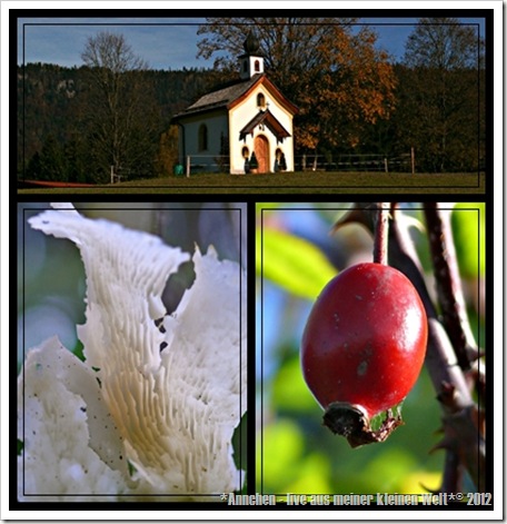 TinasPicStory_Collage TinasPicStory_Collage