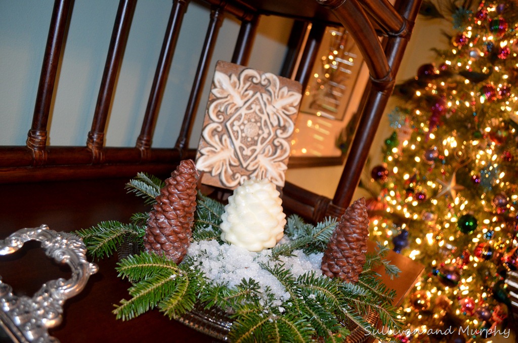 [candles%2520and%2520snow%255B3%255D.jpg]