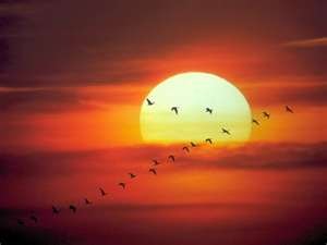 [setting%2520sun%255B3%255D.jpg]
