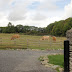 DSC07510.JPG