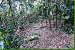 IMG_0039 IMG_0039