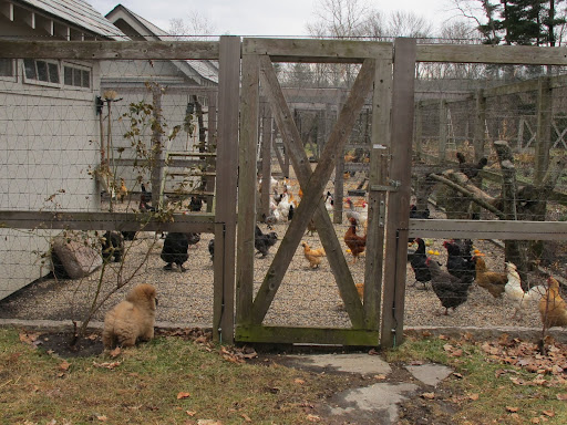 Hey! You in there! Can you tell me about those oval-shaped things that get sent up to the house every day?