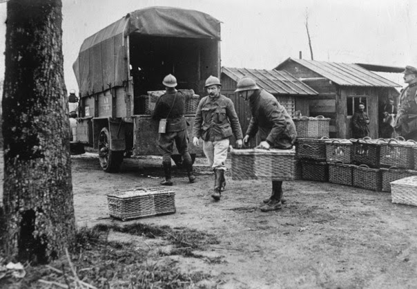 Primeira Guerra Mundial Primeira Guerra Mundial