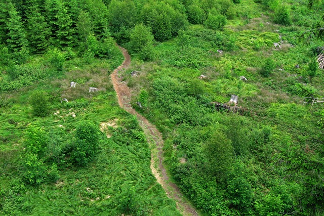 [IMG_30868.jpg]