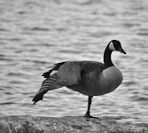 DSC_0146_new.jpg