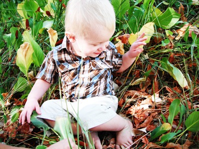 in the leaves