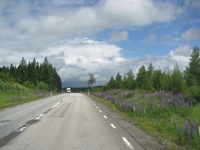 IMG_4621 IMG_4621