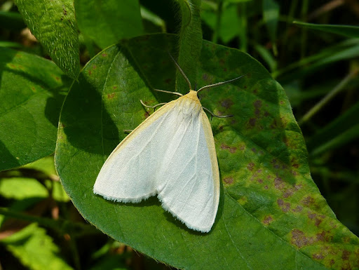 P1120329