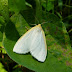P1120329