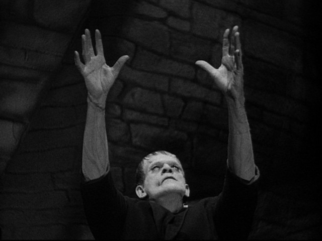 [Frankenstein-Seeking-the-Light2.jpg]