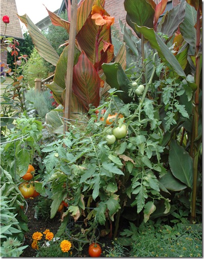 mix vegetables with ornamental plantings (1)