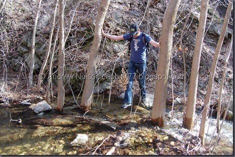 DSC_0966 DSC_0966