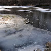dsc06319.jpg