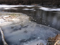 staw obok rz. Głównej