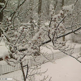Snowstorm