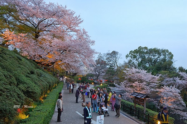 京都清水寺