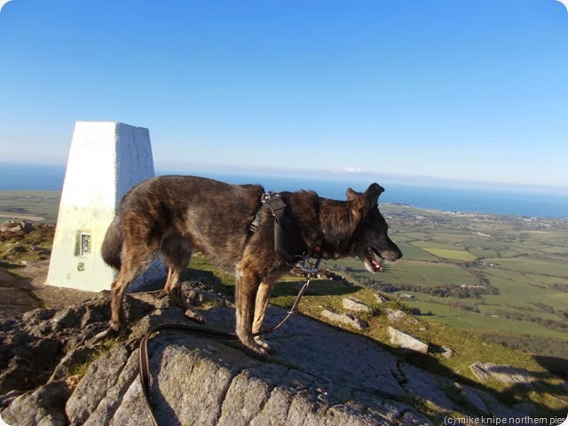 lleyn peninsula