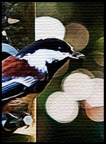 Birddetail
