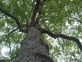 2010-10-23 11.29.17.jpg
