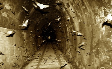 bats_in_the_tunnel_by_jasonjcane