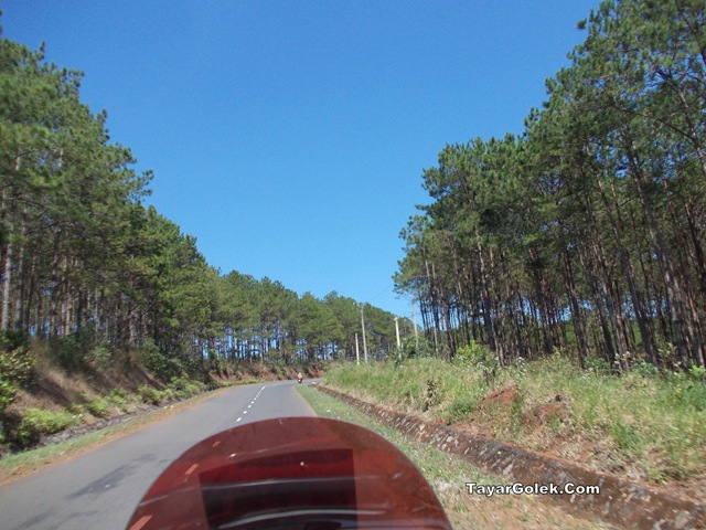 [DSCN19912.jpg]