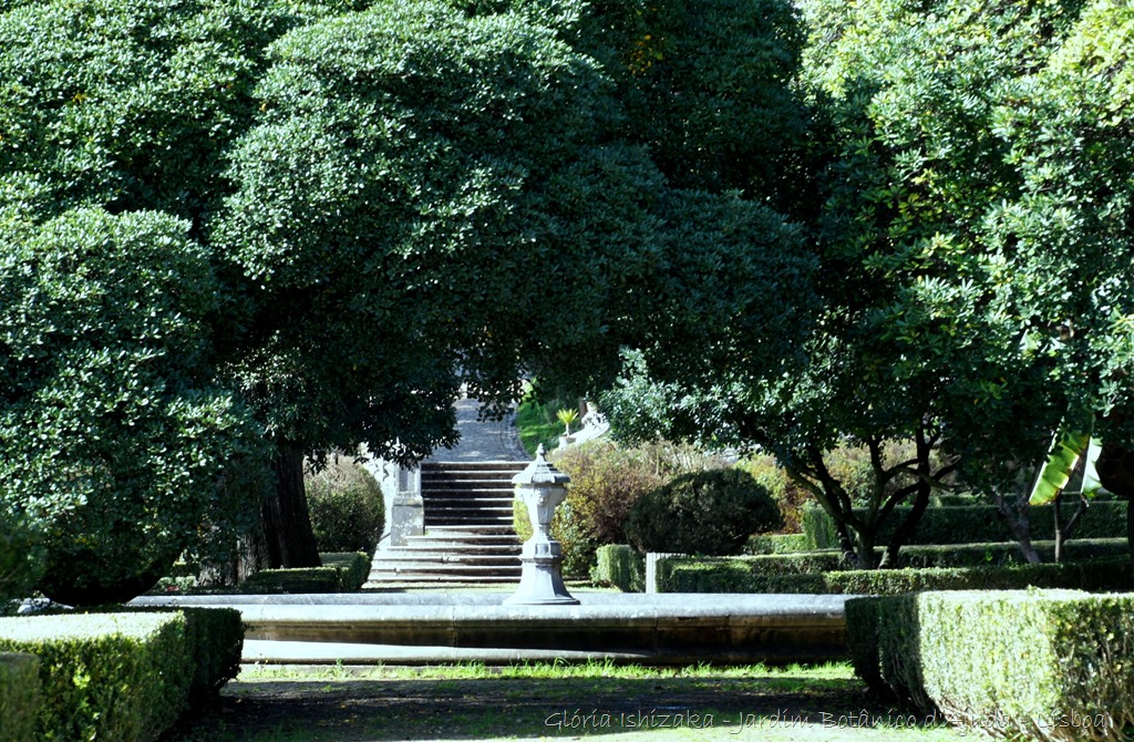 [Gl%25C3%25B3ria%2520Ishizaka%2520-%2520Jardim%2520Bot%25C3%25A2nico%2520Ajuda%2520-%252025%255B10%255D.jpg]