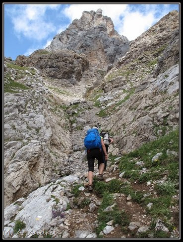Picos 084 Picos 084