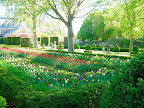 More parterres, edged in box and filled with tulips, give a very European sensibility. It is the nicest place for an afternoon stroll out of the sun.