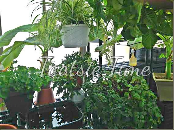 BeFunky_r.jpg BeFunky_r.jpg