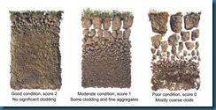 71-soils-test-pic4 71-soils-test-pic4