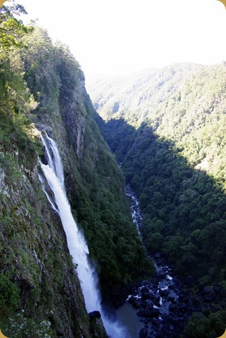 Ellenborough Falls, Elands, NSW