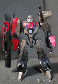 WFC Megs WFC Megs