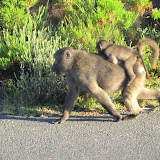 IMG_5400.JPG